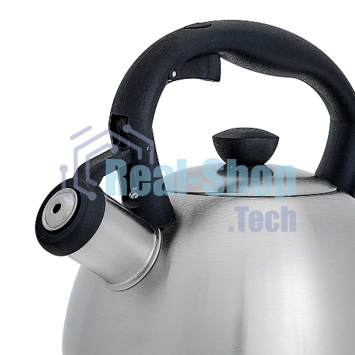 Чайник для плиты со свистком WEBBER BE-0578 2 л