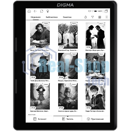Электронная книга Digma F4 5.83