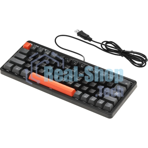Клавиатура проводная Defender Black Raven GK-417, USB, черный