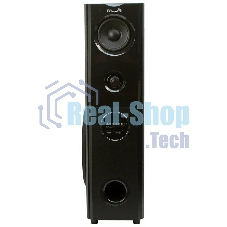 Колонка ELTRONIC 08