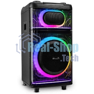 Минисистема ELTRONIC (30-84) SKILLETS BOX 1500 - колонка 12