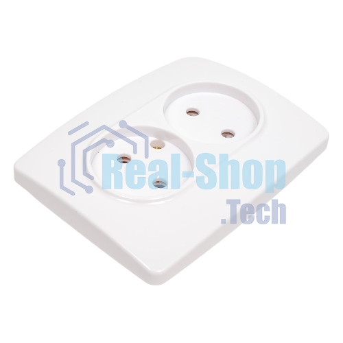 Розетка ЭРА 2X2P, 16A-250В, IP20, белый (10/100/1600)