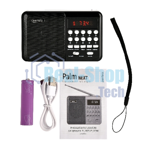 Радиоприемник PERFEO (PF_D0566) PALM, черный