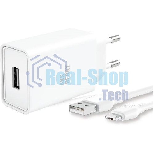 Зарядное устройство Aksberry T40 1USB 24A + MicroUSB (белый)