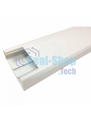 Короб Lanmaster LAN-CT120X50-WH 120x50 мм белый 2 м (упак.: 1 шт)
