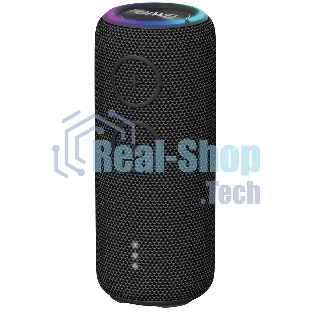 Портативная колонка AIWA PAS-H200 черный