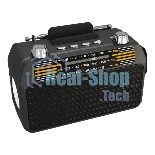 Радиоприемник SOUNDMAX SM-RD2114UB черный