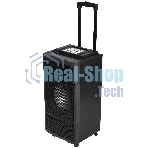 Минисистема AIWA CAS-2021 черный