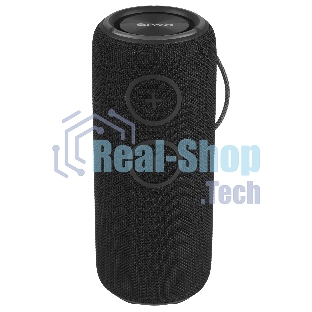 Колонка беспроводная AIWA PAS-H300 черный
