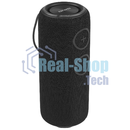 Колонка беспроводная AIWA PAS-H300 черный