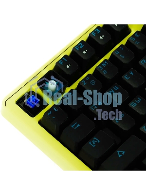 Клавиатура проводная A4Tech Bloody B810RC Punk USB желтый/черный