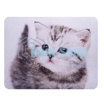 Коврик для мыши Buro BU-M40087 рисунок/котенок