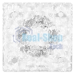 Вентилятор вытяжной Royal Thermo RAFC 100 Frozen