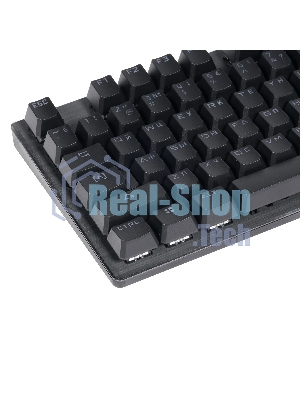 Клавиатура проводная A4Tech B760 механическая черный/серый USB Gamer LED