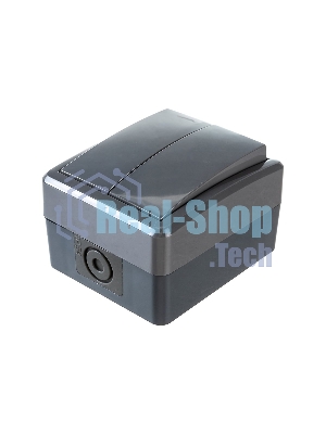 Выключатель двойной ЭРА IP54, 10АХ-250В, 11-1404-03, ОУ, Эксперт, серый (16/160/2560)