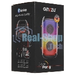 Акустическая система Ginzzu GM-234 Midi, BT/USB/TF/FM/MIC/ДУ