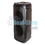 Минисистема AIWA CAS-1251 черный