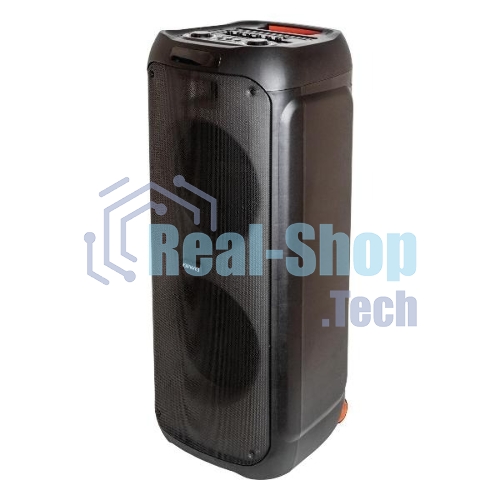 Минисистема AIWA CAS-1251 черный