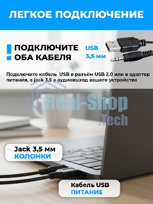 Портативная колонка Ritmix SP-3040W