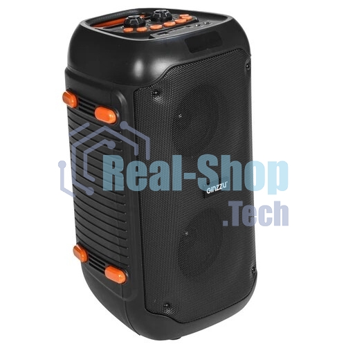 Акустическая система Ginzzu GM-234 Midi, BT/USB/TF/FM/MIC/ДУ