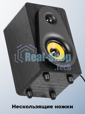Портативная колонка Ritmix SP-3040W