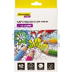 Карандаши цветные Silwerhof Create Jumbo 6мм, шестигранный профиль, дерево, ассорти, 12 цветов, коробка с европодвесом