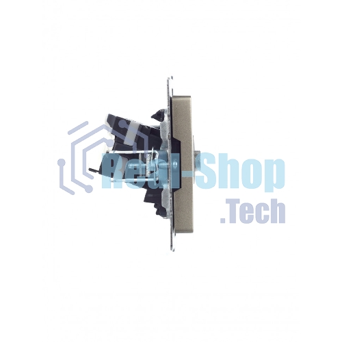 Розетка телевизионная двойная TV+RJ45 IEK Brite РТВ/РК12-БрШ (BR-AK20-1-K37) кат.5E шампань