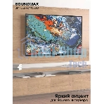 Телевизор Soundmax 43