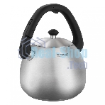 Чайник металлический Rondell Esfera RDS-1656, 3л, стальной