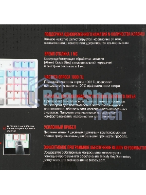 Клавиатура проводная A4Tech Bloody S510N USB белый