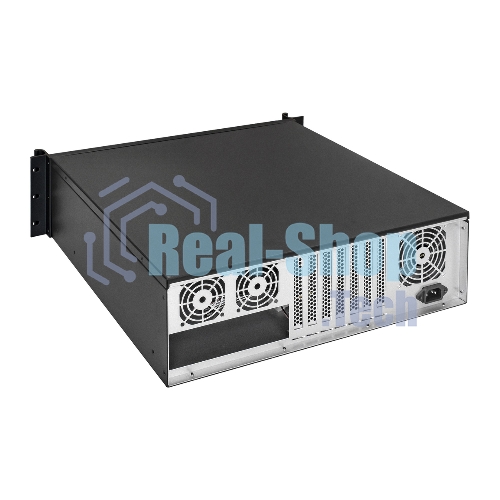 Серверный корпус ExeGate Pro EX293202RUS 3U450-08 (RM 19