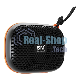 Портативная колонка Soundmax SM-PS5009B черный