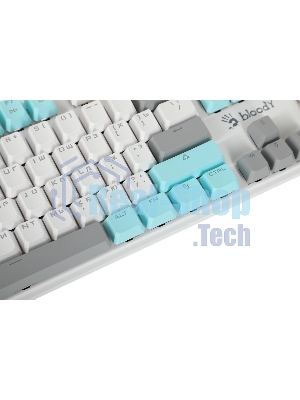 Клавиатура проводная A4Tech Bloody S510N USB белый