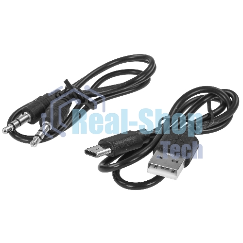 Портативная колонка Soundmax SM-PS5009B черный