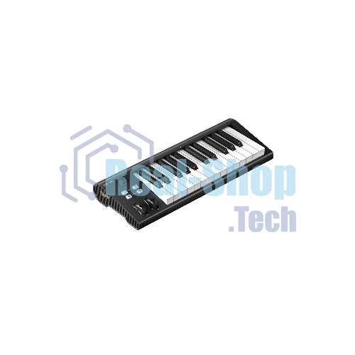MIDI клавиатура 110105A2028 Icon Artist 25