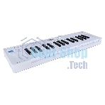 Клавиатура MIDI 430301 Arturia KeyStep MK2 32 клавиши