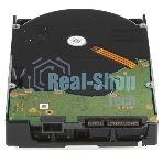 Жесткий диск Western Digital GOLD WD221KRYZ 22Tb 3.5