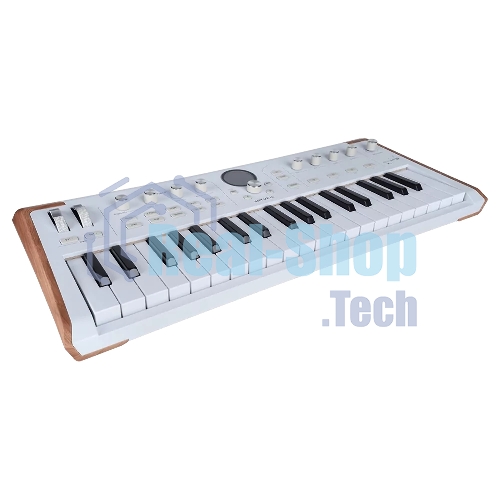 Сценическая клавиатура 230721 Arturia AstroLab 37 White Astrolab White 37 клавиш, полувзвешенная механика, 10 звуковых движков, вокодер, 10 кнопок пресетов, 4 макрорегулятора, MIDI-вход, USB-C и USB-A; аудио Bluetooth; WiFi, цвет белый