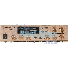 Усилитель Tantos TSo-AA30M выход 100Вт/30Вт