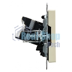 Розетка компьютерная двойная IEK BRITE РК10-2-БрКр (BR-K20-1-K10) СП RJ45 кат.5E бежевый