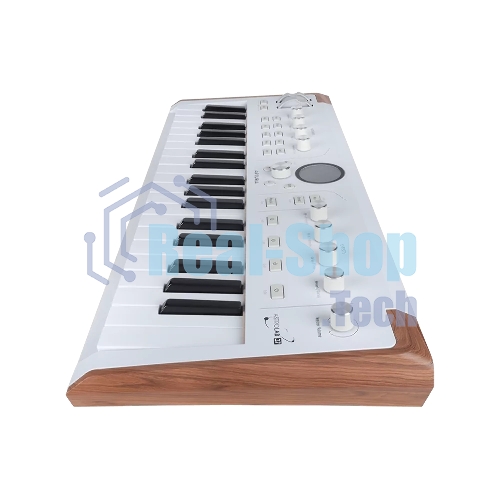 Сценическая клавиатура 230721 Arturia AstroLab 37 White Astrolab White 37 клавиш, полувзвешенная механика, 10 звуковых движков, вокодер, 10 кнопок пресетов, 4 макрорегулятора, MIDI-вход, USB-C и USB-A; аудио Bluetooth; WiFi, цвет белый