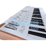 Сценическая клавиатура 230721 Arturia AstroLab 37 White Astrolab White 37 клавиш, полувзвешенная механика, 10 звуковых движков, вокодер, 10 кнопок пресетов, 4 макрорегулятора, MIDI-вход, USB-C и USB-A; аудио Bluetooth; WiFi, цвет белый