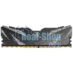 Оперативная память Netac Shadow II, DDR5, 16Gb (1x16 GB), 6000 MHz, CL38, DIMM, радиатор, черный