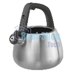 Чайник для плиты TALLER TR-11372 Рейнард 2,2 л