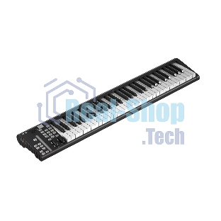 MIDI клавиатура 110105A2036 Icon Artist 61X