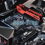 Оперативная память Patriot Viper Elite II, DDR4, 32GB (2x16 GB), 3200 MHz, CL18, DIMM, радиатор, красный, черный