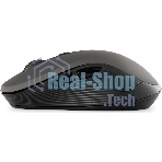 Беспроводная мышь SVEN RX-560SW серый (SV-017088)