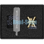 Шильд-символ Moleskine Zodiac Рыбы, металл, золотистый, коробка с европодвесом, PINPISCESGOLD