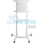 Стойка для телевизора Cactus CS-ST1146WT белый, 37