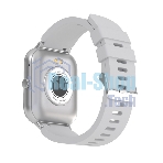 Умные часы Maxvi SW-02 grey